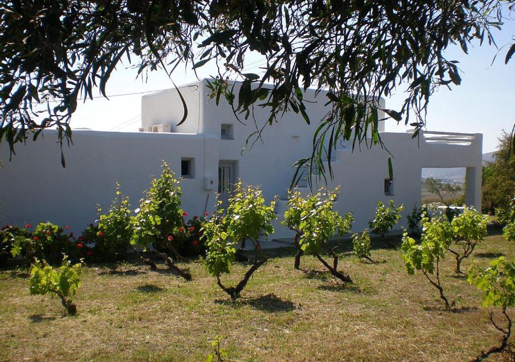 Photo of Buildings in Paros