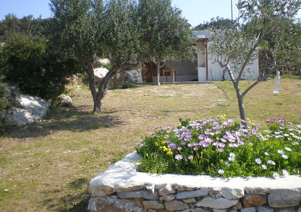 Photo of Others in Paros
