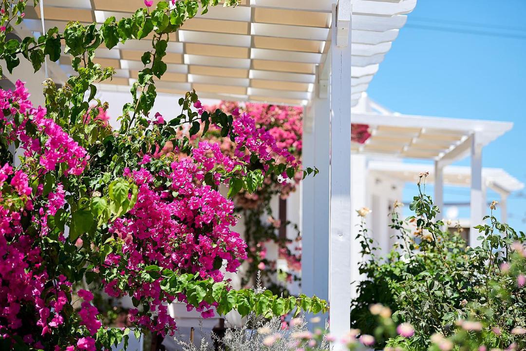 Photo of Others in Apollonia