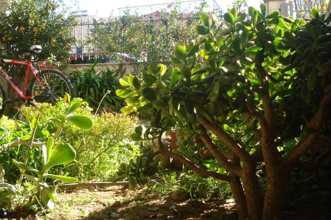 Photo of Outdoor in Paralia