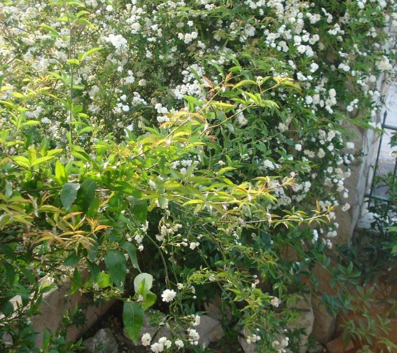 Photo of Outdoor in Paralia