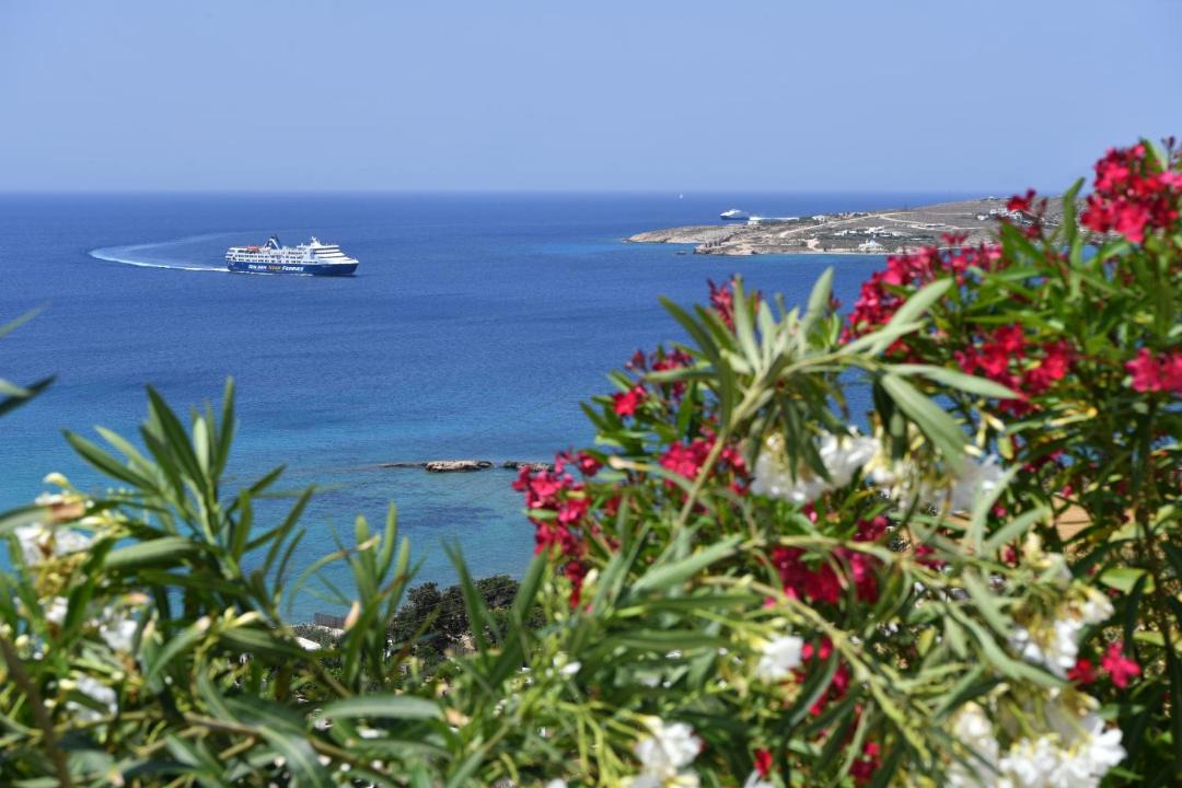 Photo of Others in Parasporos