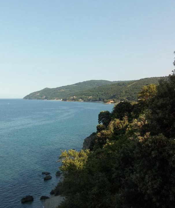 Photo of Others in Agia