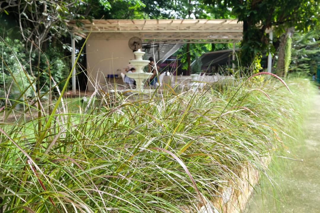Photo of Others in Nakhon Sawan