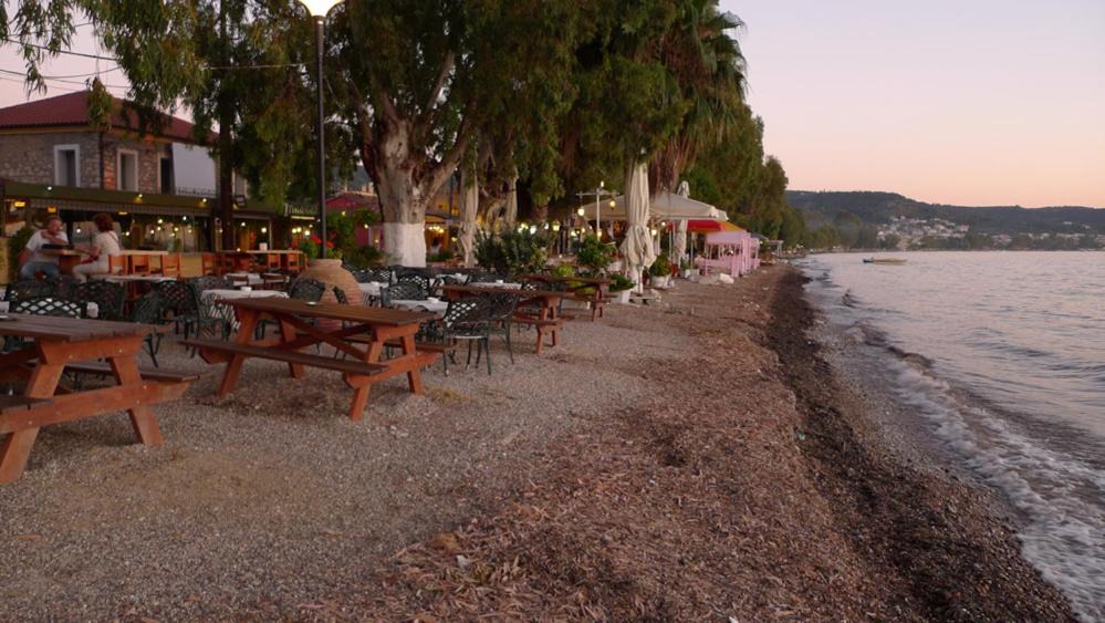 Photo of Others in Paralia