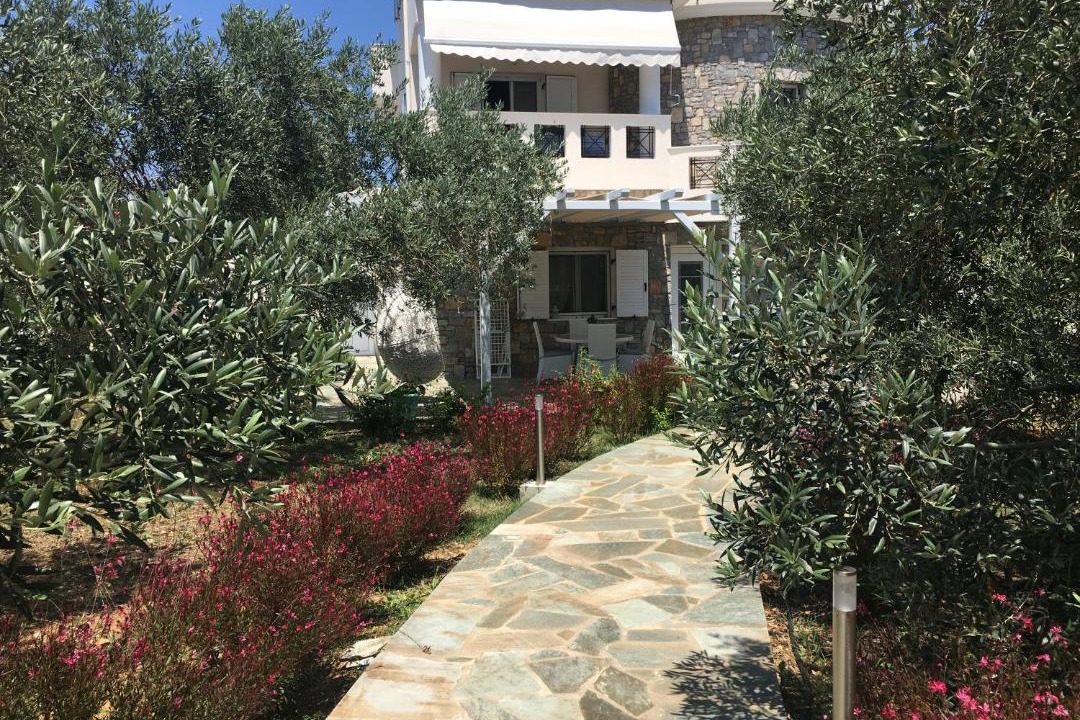 Photo of Others in Alonissos
