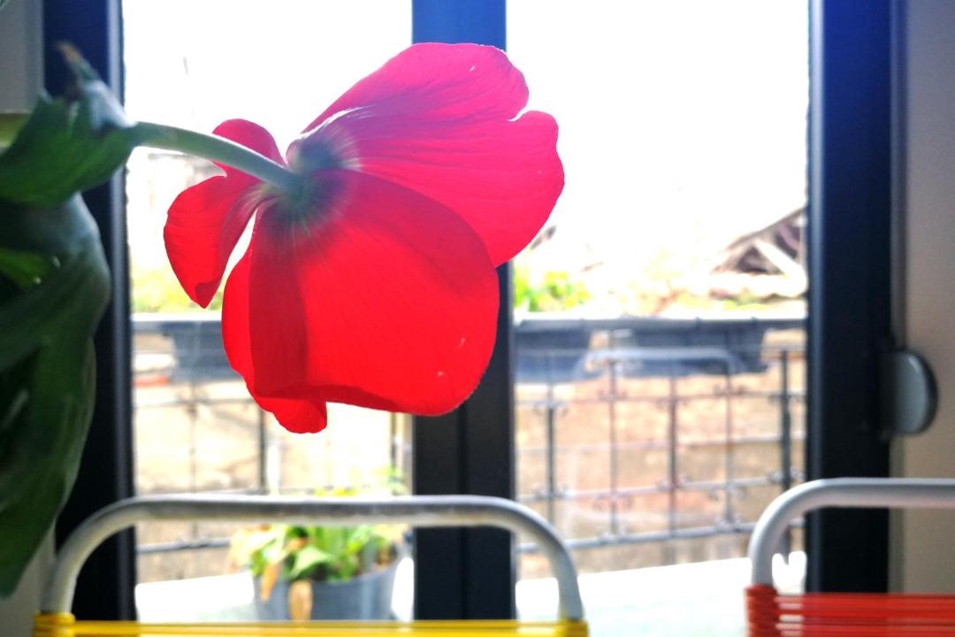 Photo of Others in Kerameikos