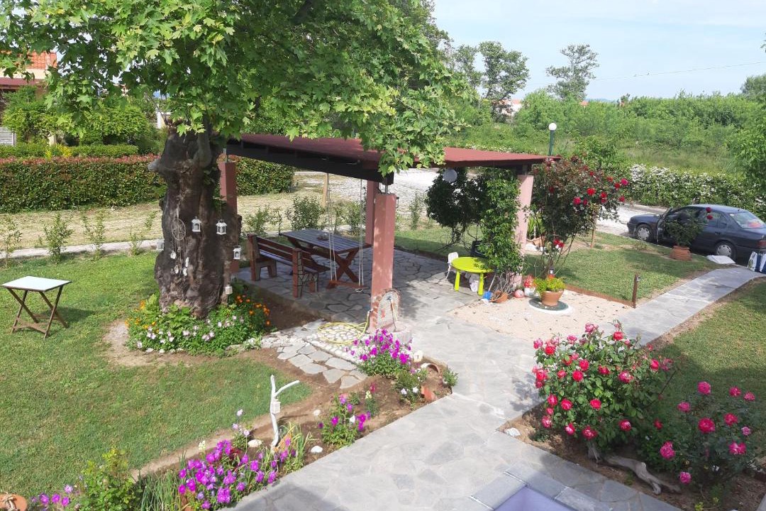 Photo of Others in Aristotelis