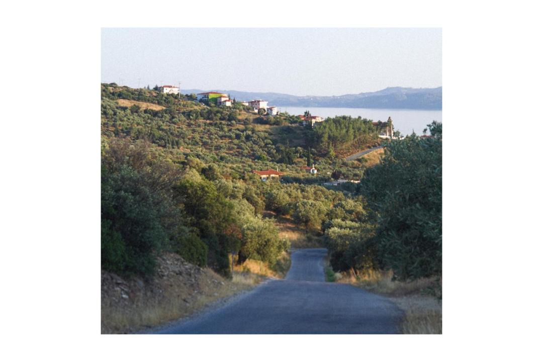 Photo of Others in Pirgadikia