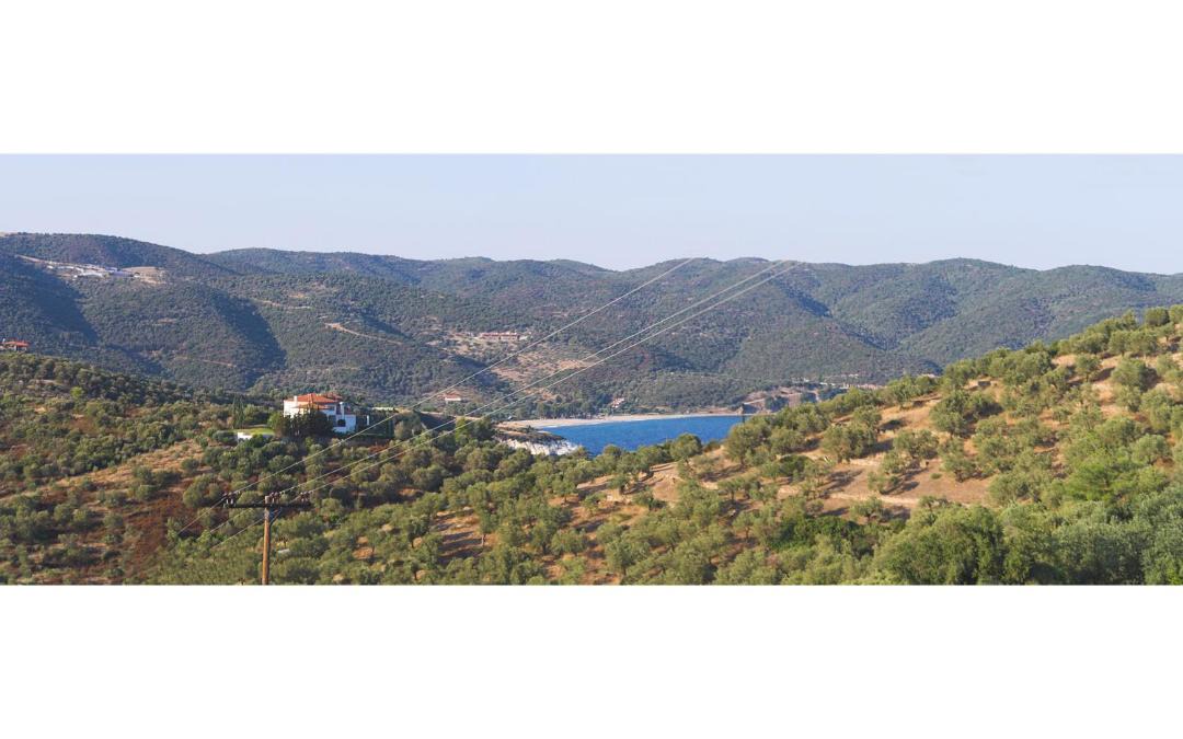 Photo of Others in Pirgadikia