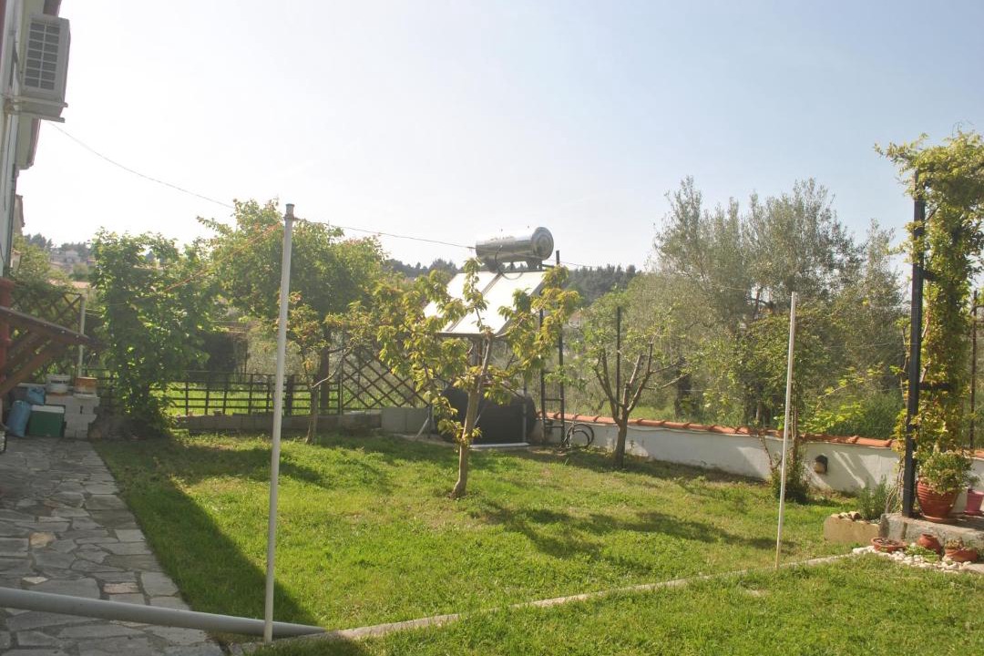 Photo of Others in Metamorfosi