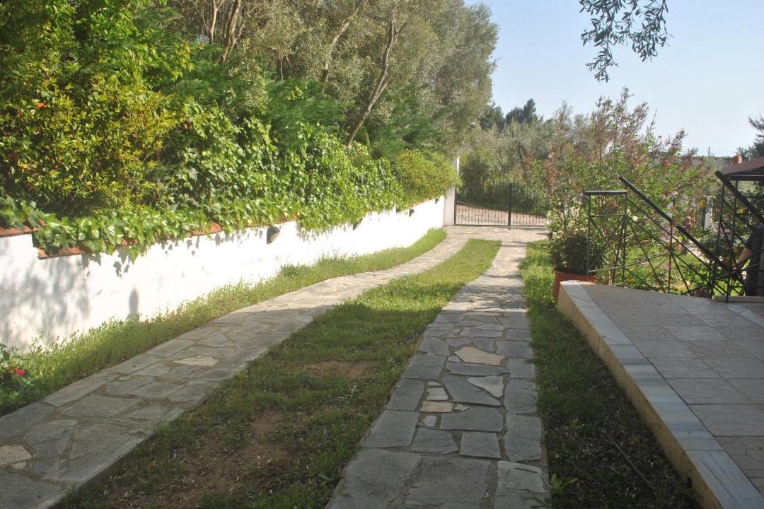 Photo of Others in Metamorfosi