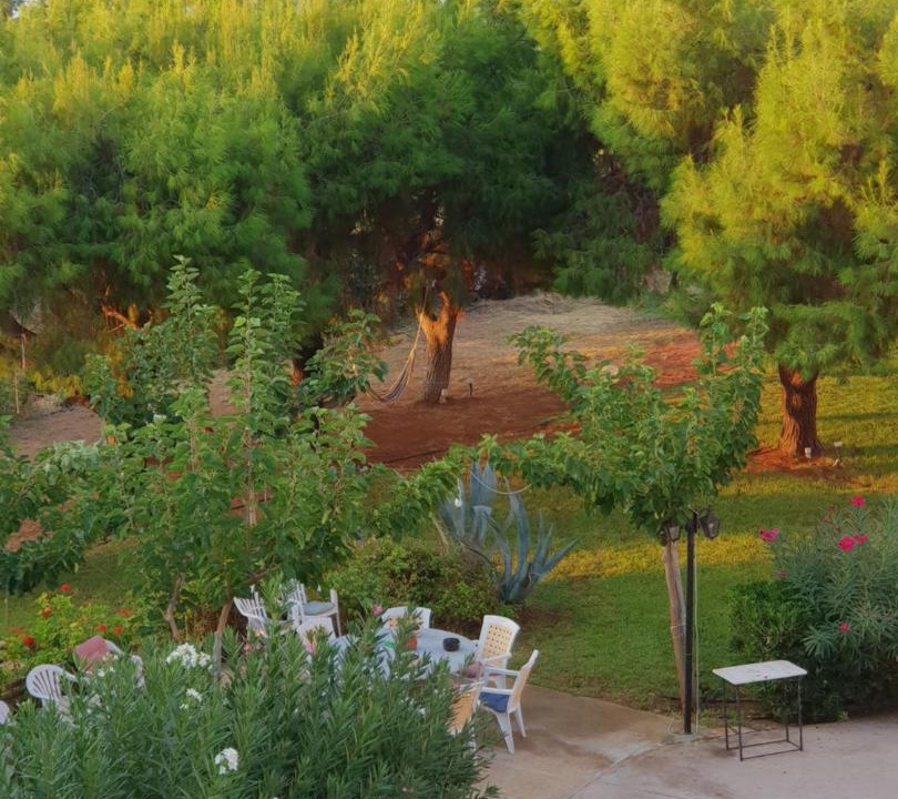 Photo of Patio Balcony in Lagonissi