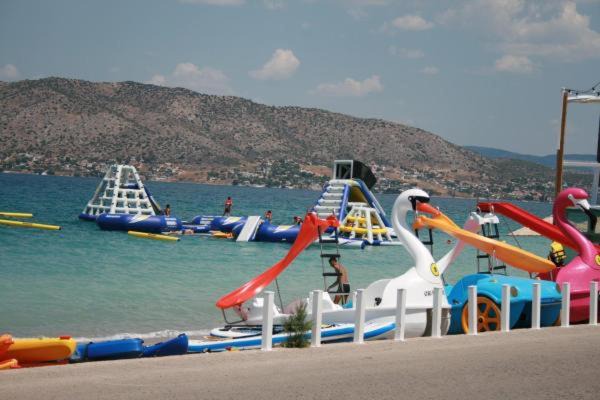 Photo of Others in Selinia