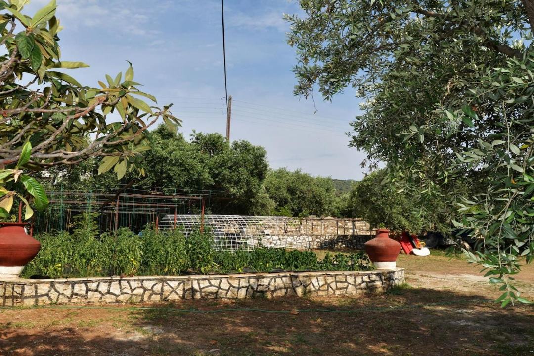 Photo of Others in Skala Kallirachis