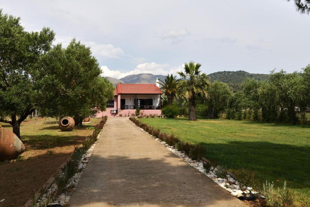 Photo of Others in Skala Kallirachis