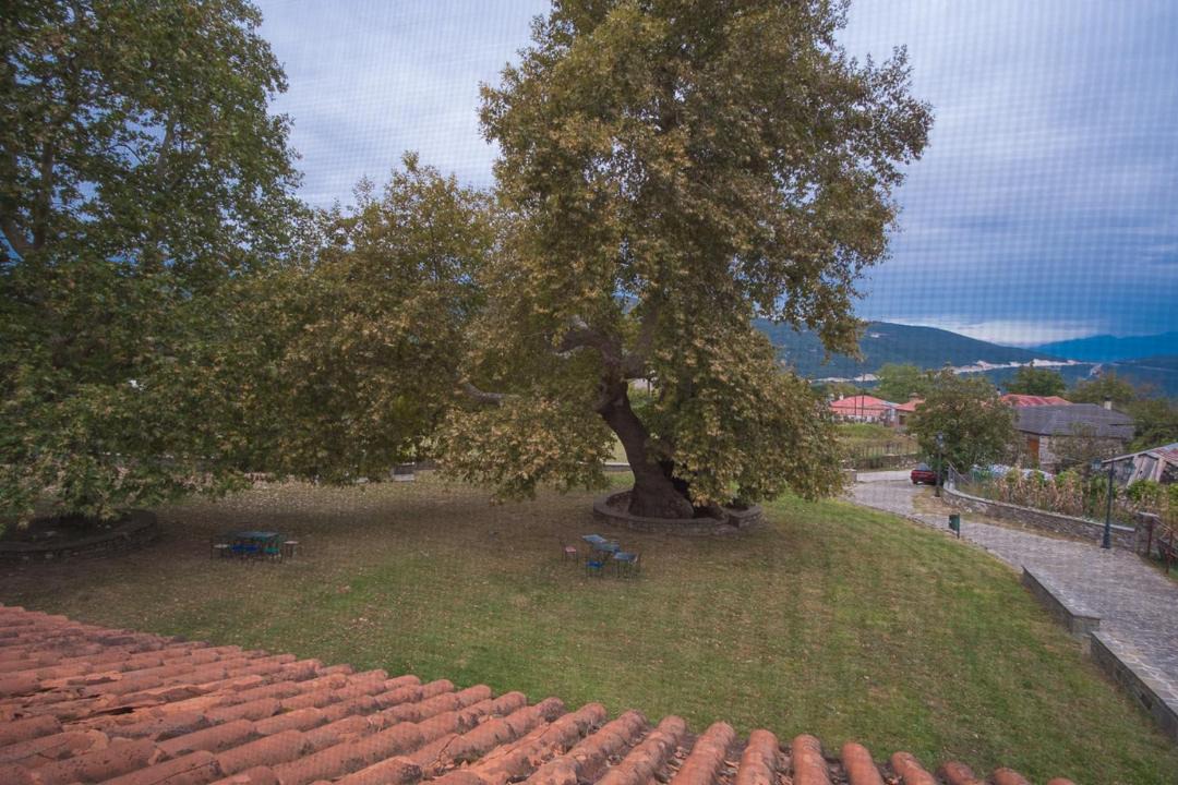 Photo of Others in North Tzoumerka