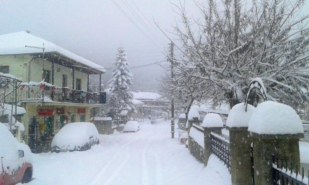 Photo of Buildings in Mesovouni