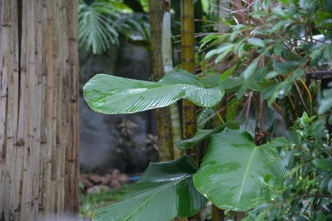 Photo of Others in Ko Yao