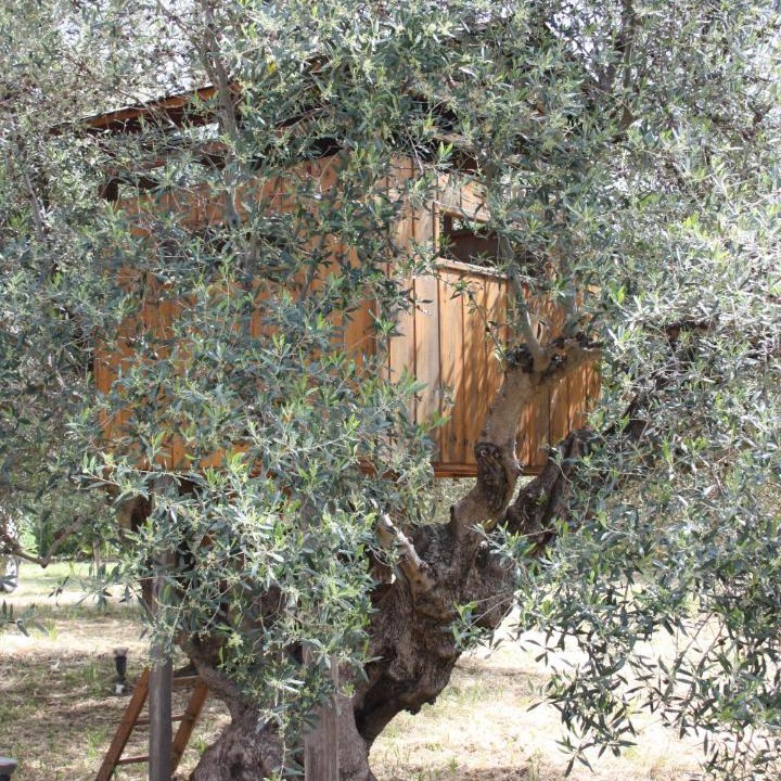 Photo of Others in Pyrgos