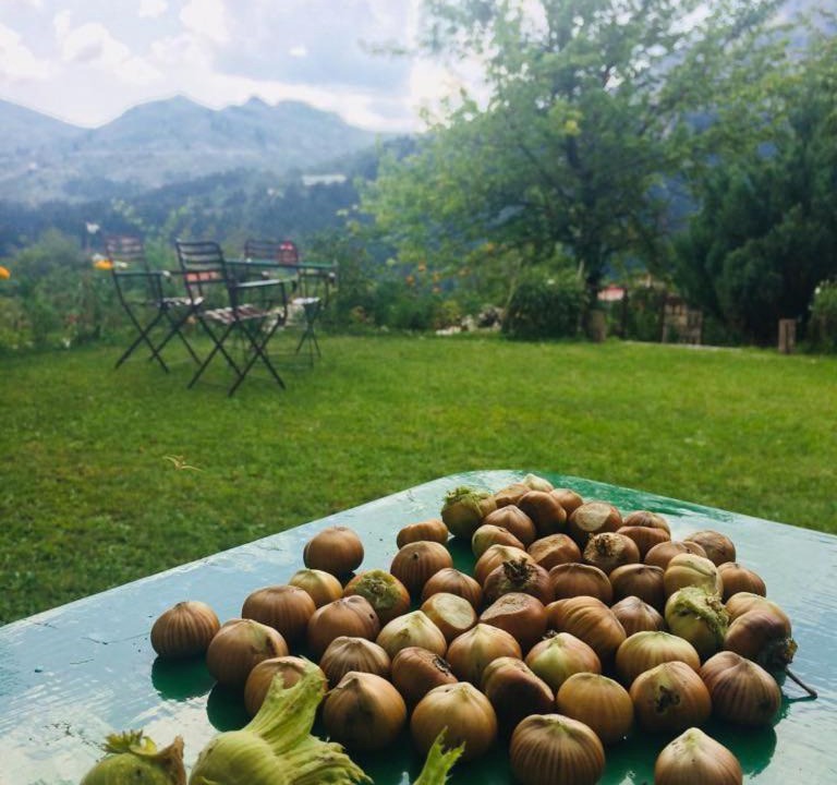 Photo of Outdoor in Theodoriana