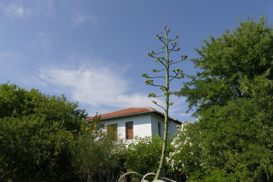 Photo of Buildings in Xinovrisi