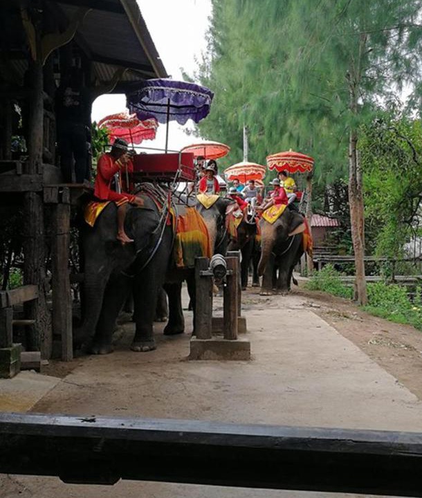 Photo of Others in Damnoen Saduak