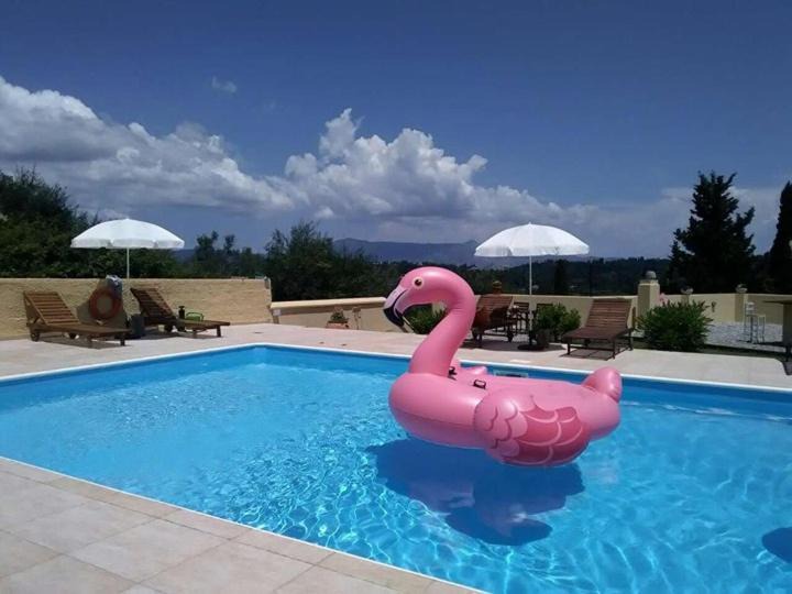 Photo of Others in Corfu