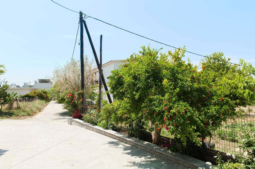 Photo of Outdoor in Kamariotissa