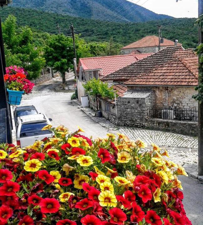 Photo of Others in Mesovouni
