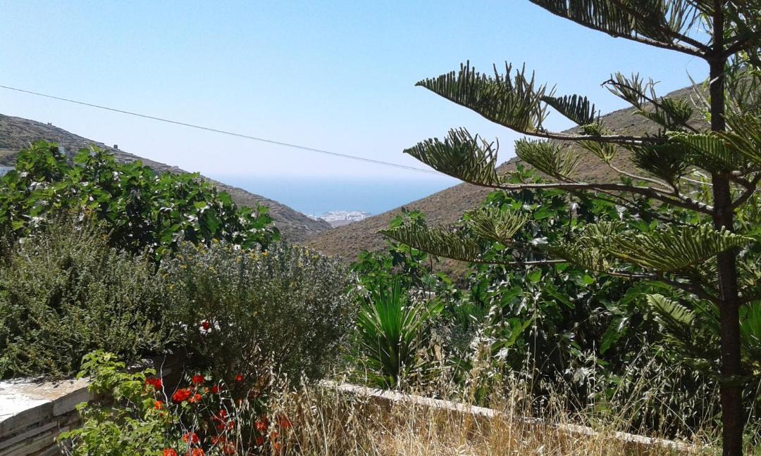 Photo of Others in Karia