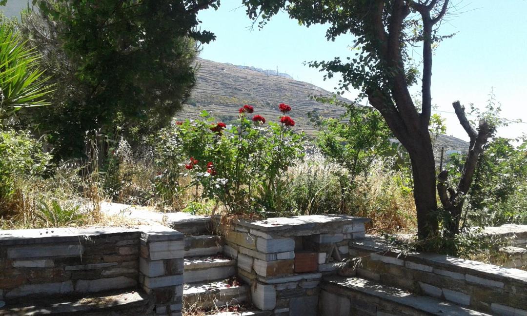 Photo of Others in Karia