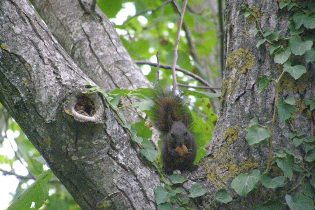 Photo of Others in Tsagarada