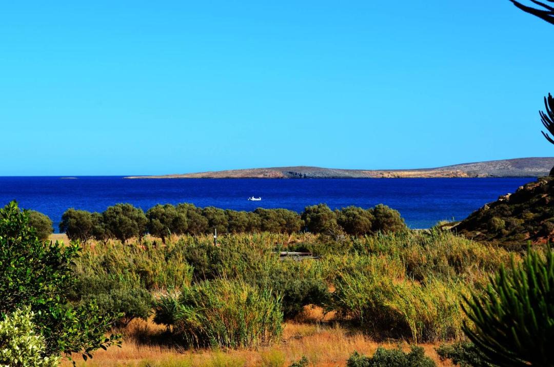 Photo of Others in Vigla