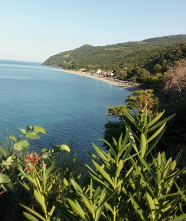 Photo of Others in Agia