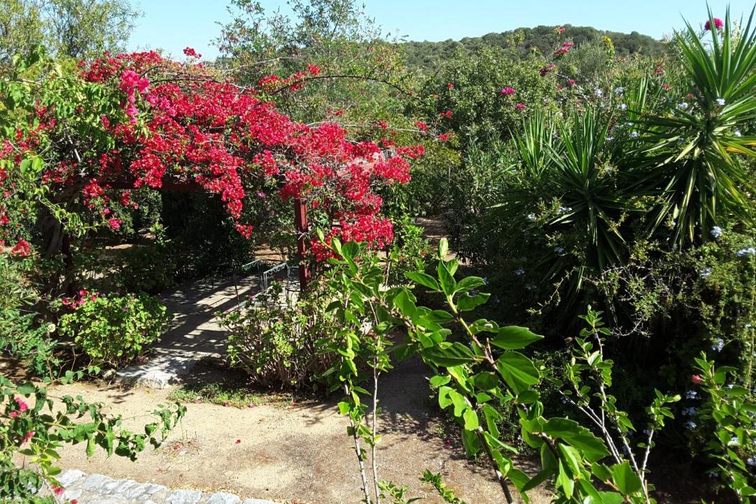 Photo of Outdoor in Karvelas