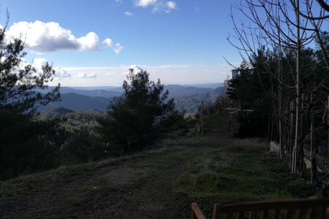 Photo of Others in Prodromos