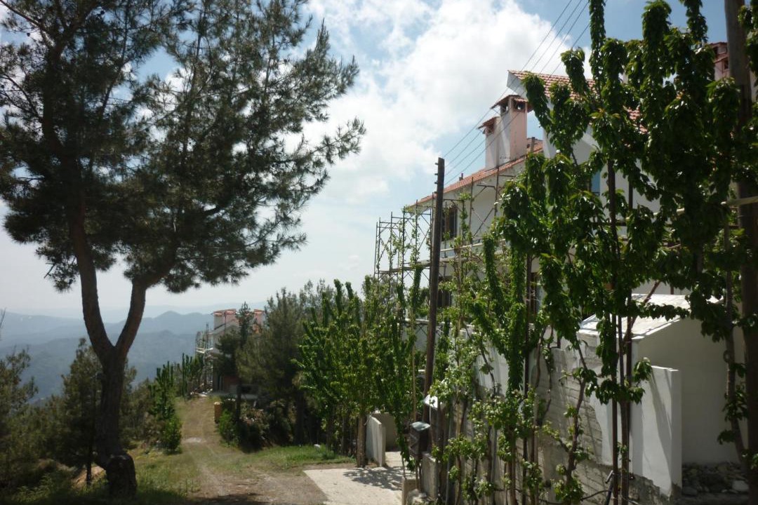 Photo of Others in Prodromos
