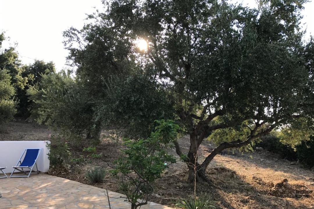Photo of Others in Kiparissia