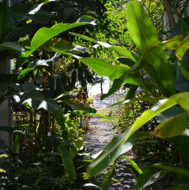 Photo of Others in Rayong