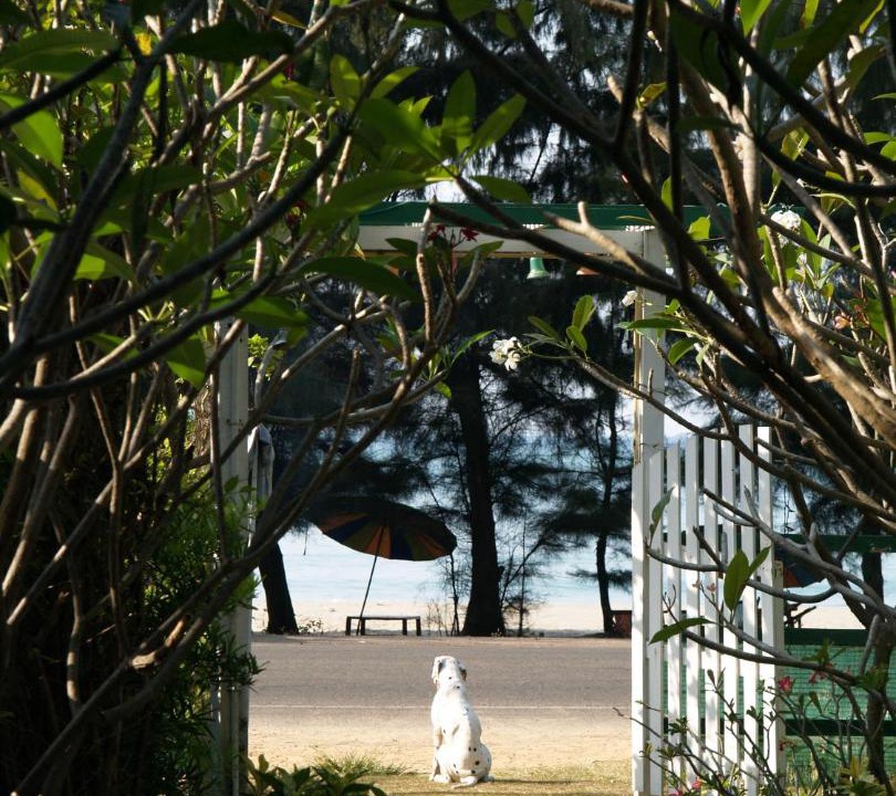 Photo of Others in Rayong
