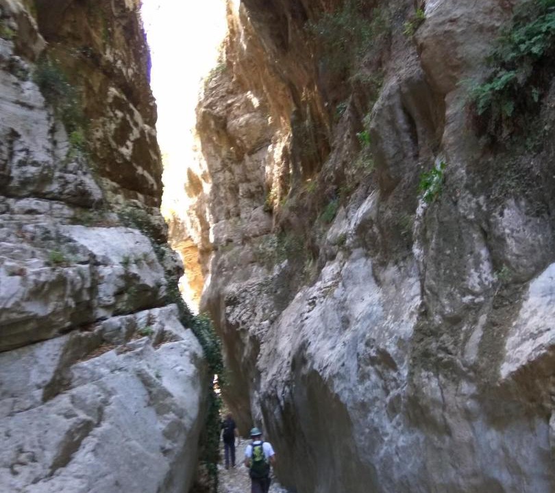 Photo of Others in Diasella