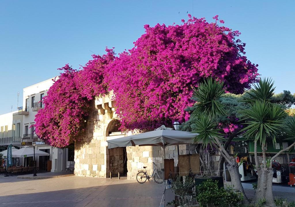 Photo of Others in Kos