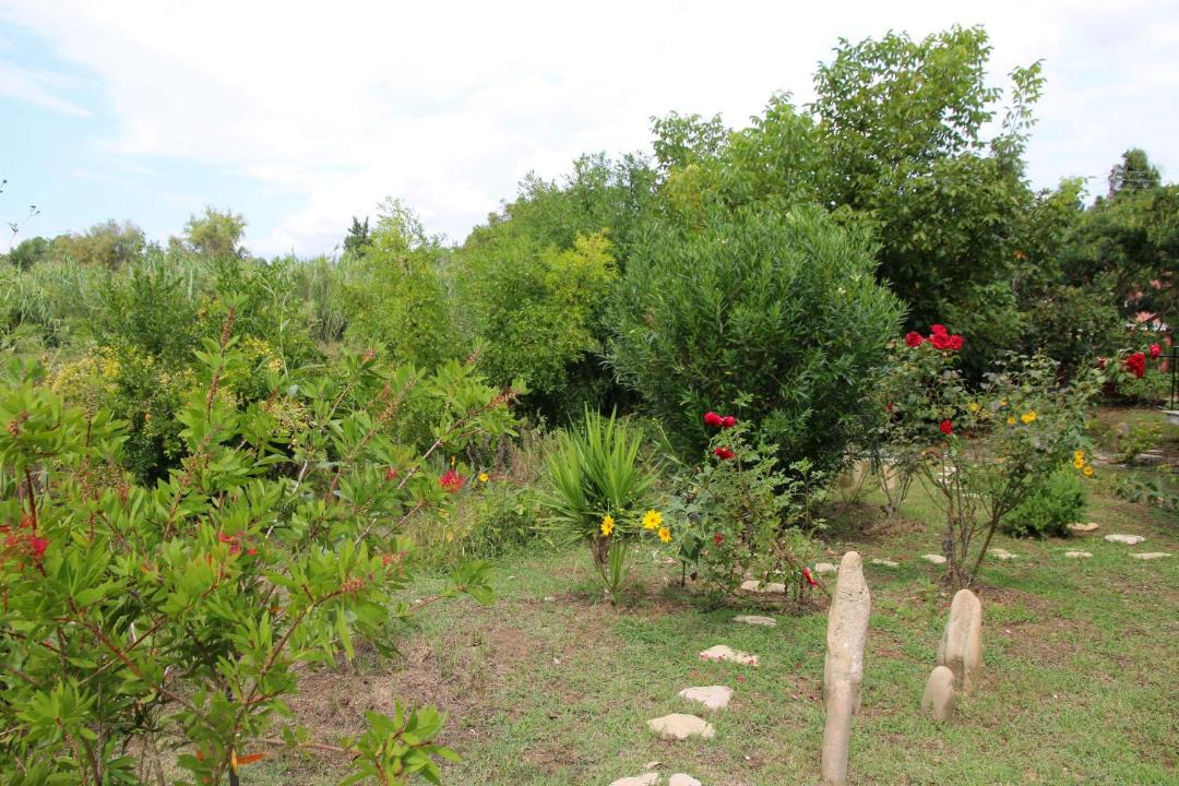 Photo of Outdoor in Marathias