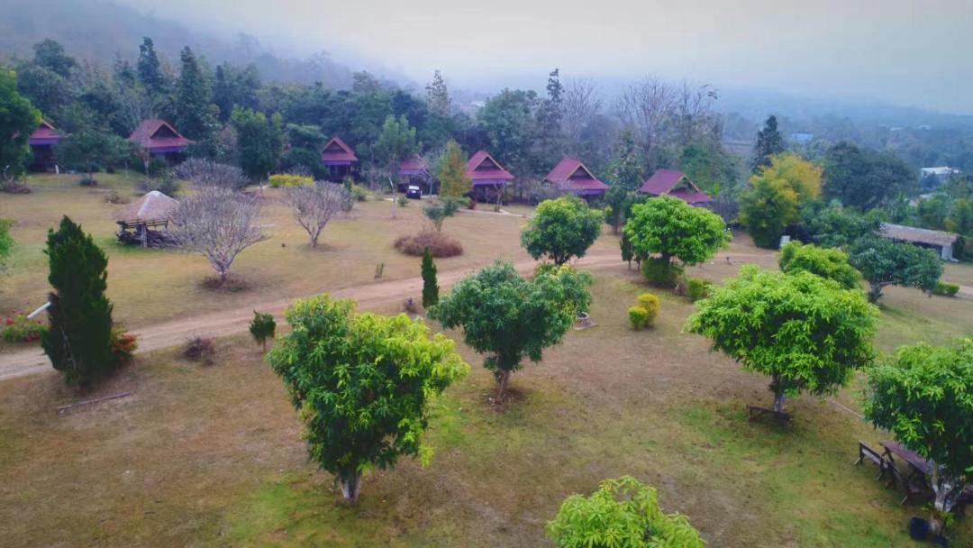 Photo of Others in Pai