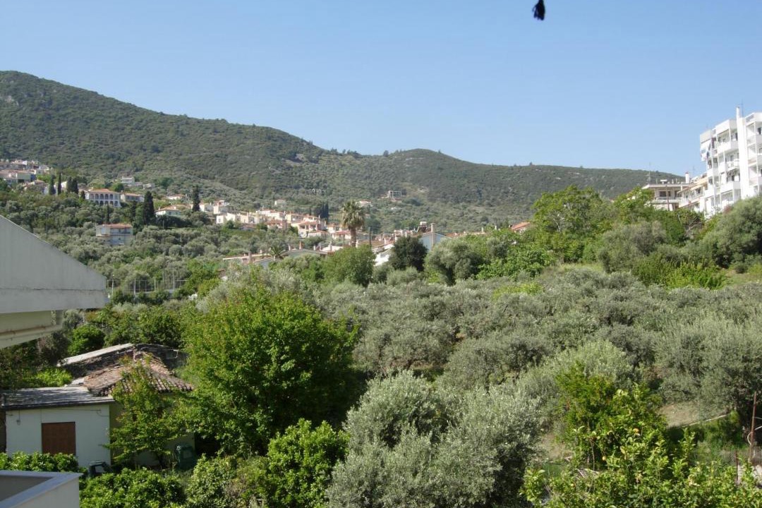 Photo of Others in Mytilene