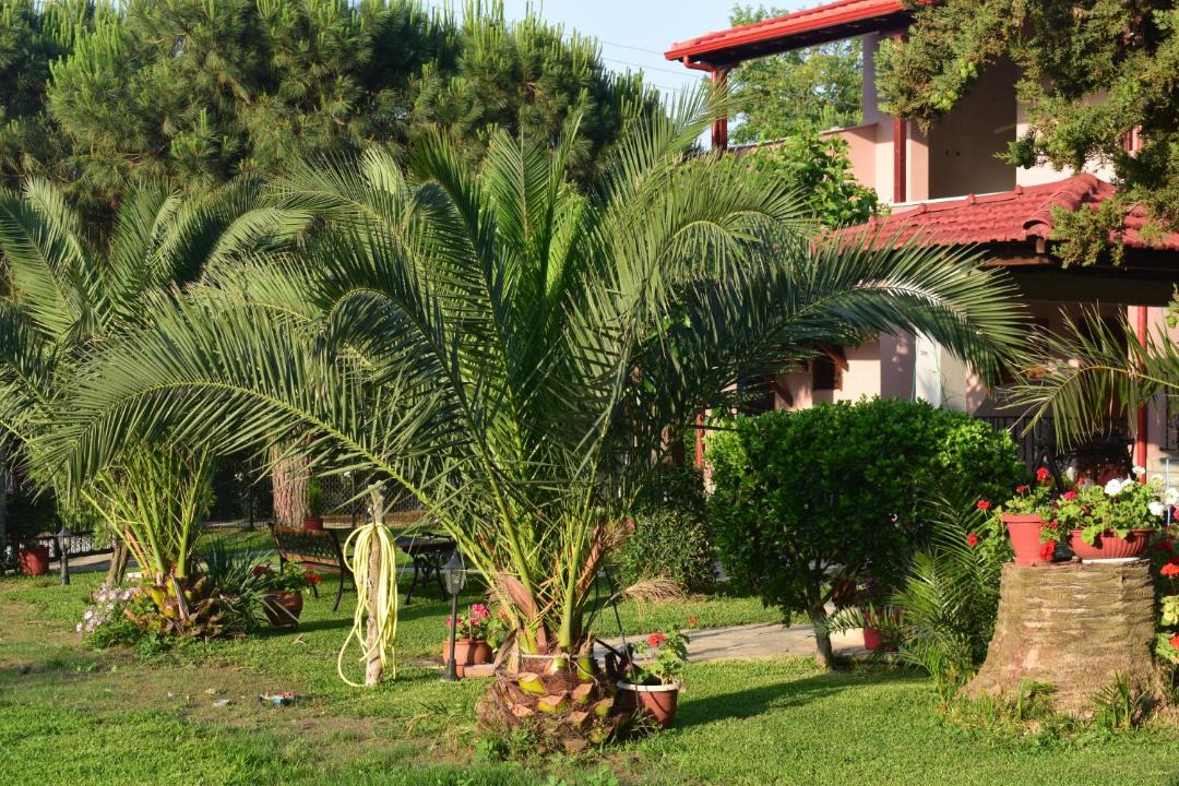 Photo of Others in Toroni
