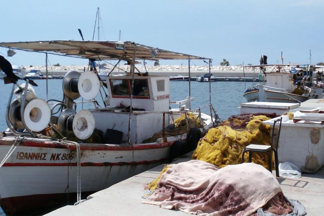 Photo of Others in Pangaio