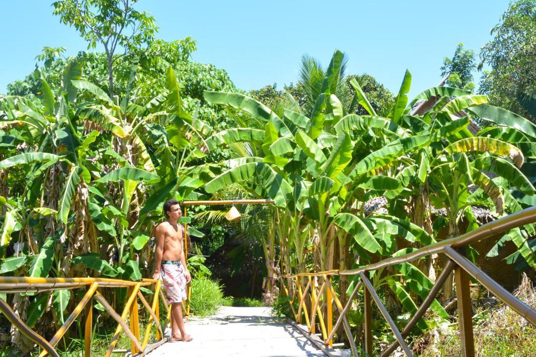 Photo of Others in Satun