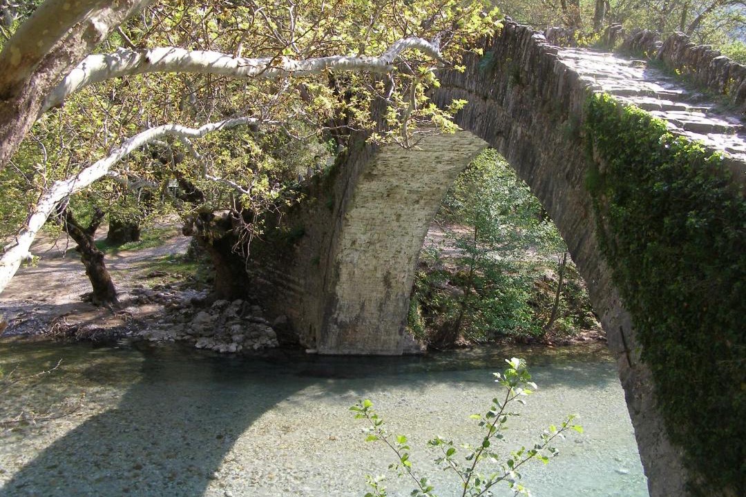 Photo of Others in Aristi
